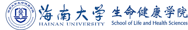 云鼎国际4118